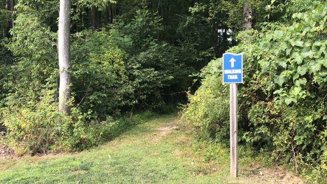 Walking Trail
